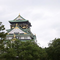 DCP_0668